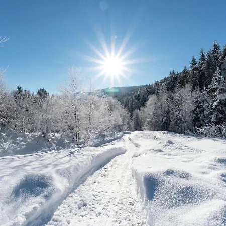 Hotell Holiday Home In Leogang In Ski Area
