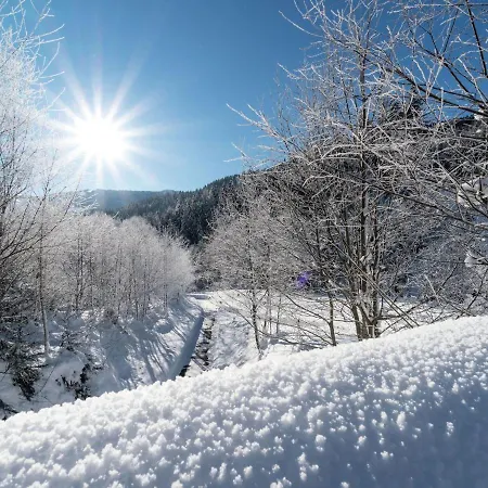 Hotell Holiday Home In Leogang In Ski Area 3*