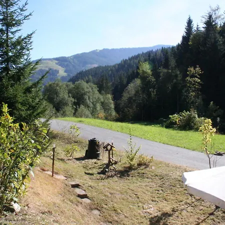 Holiday Home In Leogang In Ski Area Hotell 3*